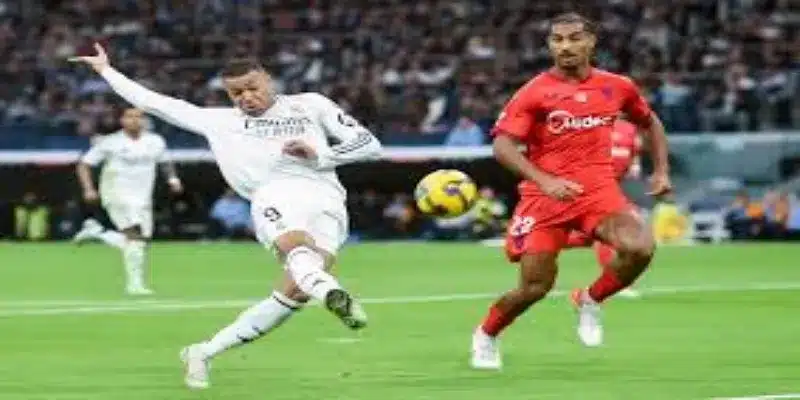 锋线猛犬：斯坦斯菲尔德的斗志与贡献，开云体育深度关注-开云体育