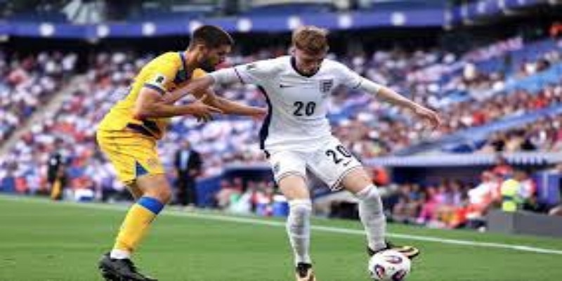 专家分析：态度问题成为焦点- 开云体育