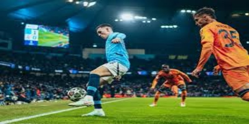 差异化选择与潜在黑马 - 开云体育